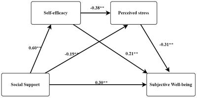 Influence of social support on subjective well-being of patients with chronic diseases in China: chain-mediating effect of self-efficacy and perceived stress